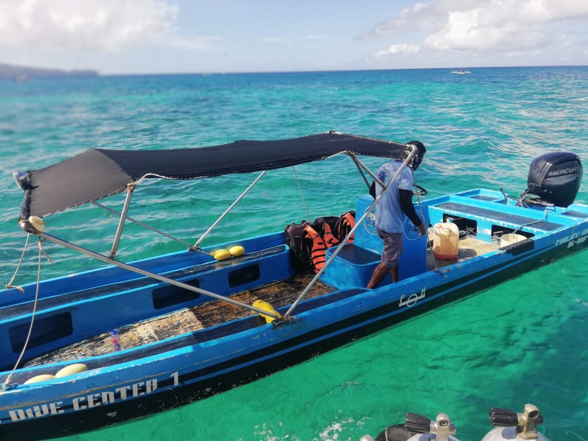 Why the Philippines? The Coral Crisis Closest to My Heart