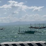 Why Cebu Is Critical for Coral Reef Restoration - Reef Without Borders coral reef conservation blog