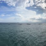 What Is a Coral Nursery? Inside Underwater Reef Restoration - Reef Without Borders coral reef conservation blog