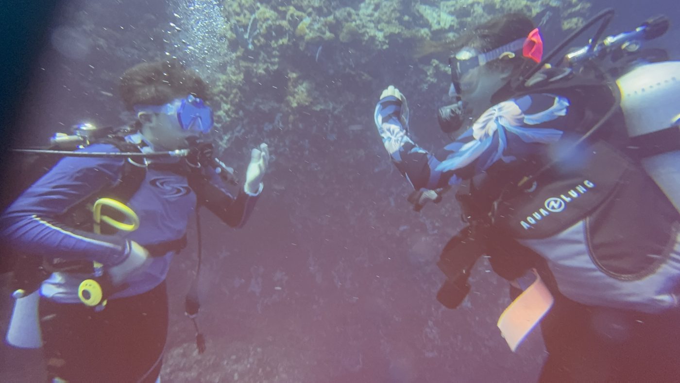 Volunteer Opportunities in Ocean Conservation: How to Get Involved With Reef Without Borders - Reef Without Borders coral reef conservation blog