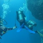 Our Mission in Cebu, Philippines: Introduction to Reef Without Borders - Reef Without Borders coral reef conservation blog