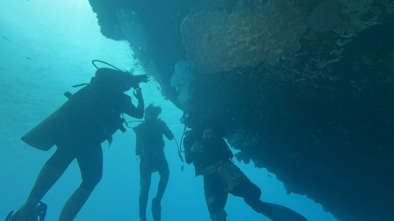 Underwater coral restoration site in Cebu Philippines reef recovery