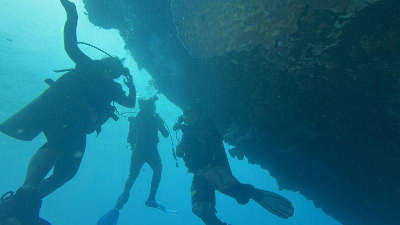 Coral reef ecosystem documentation at Reef Without Borders Cebu Philippines