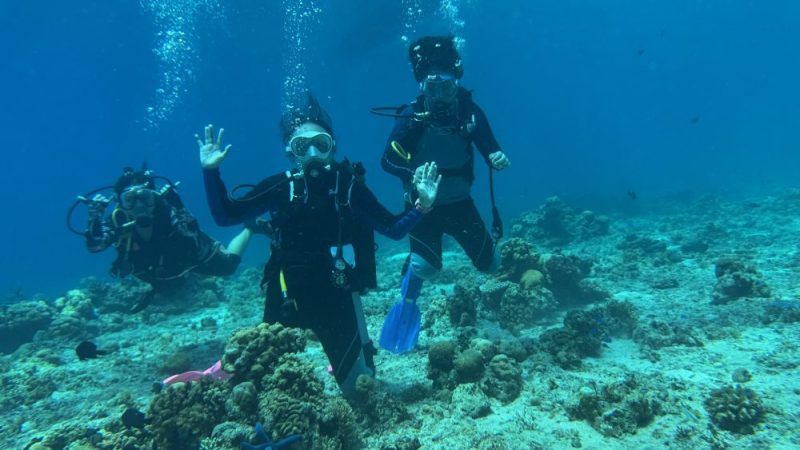 Coral nursery structure at Reef Without Borders field site Mactan Philippines
